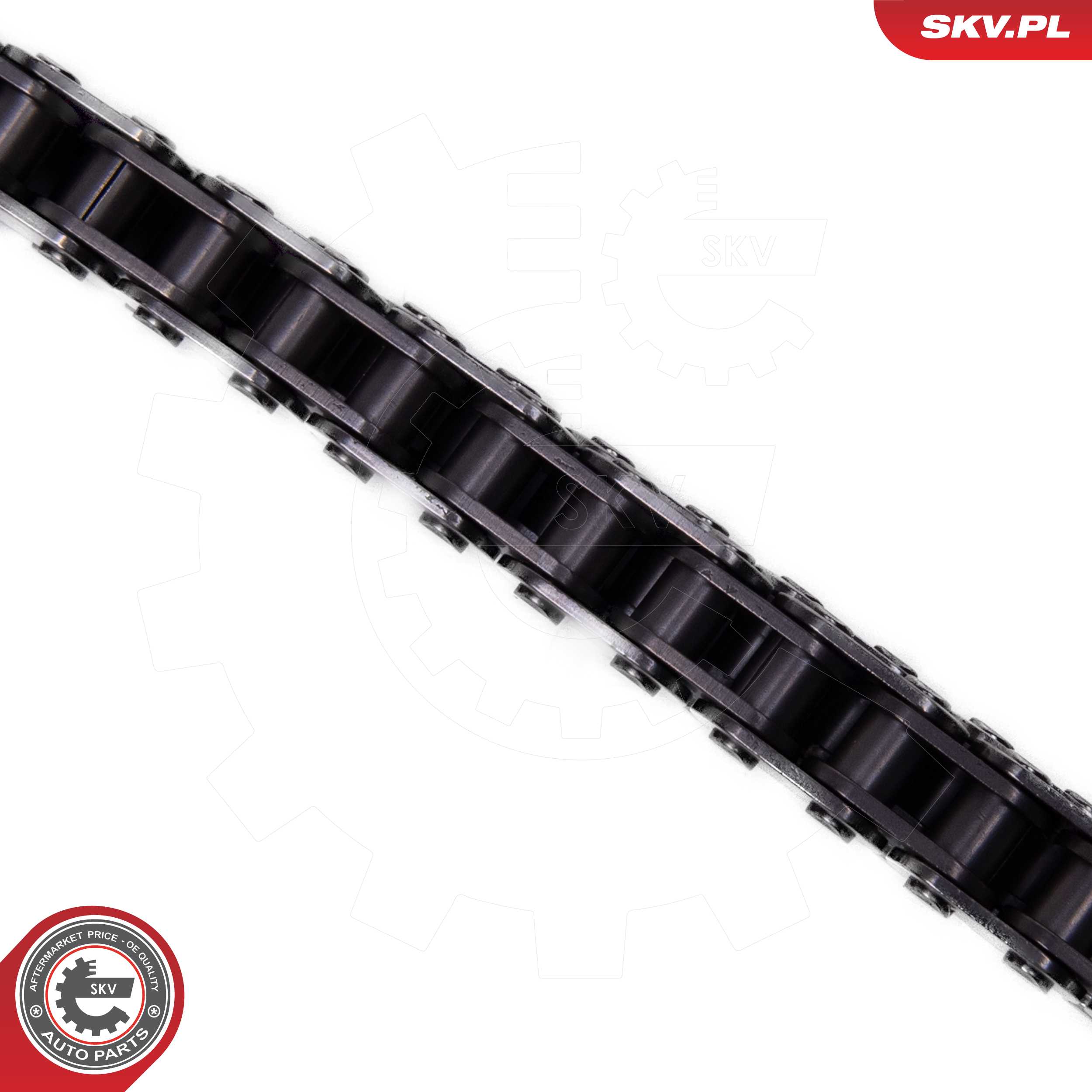 Timing Chain Kit