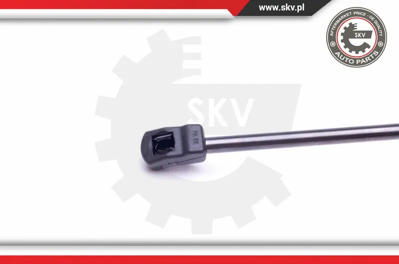 Gas Spring, boot/cargo area