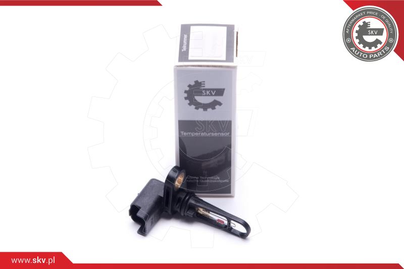 Sensor, intake air temperature (17SKV694)
