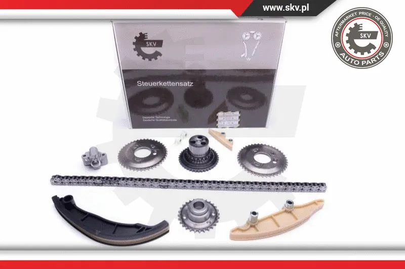 Timing Chain Kit (21SKV189)