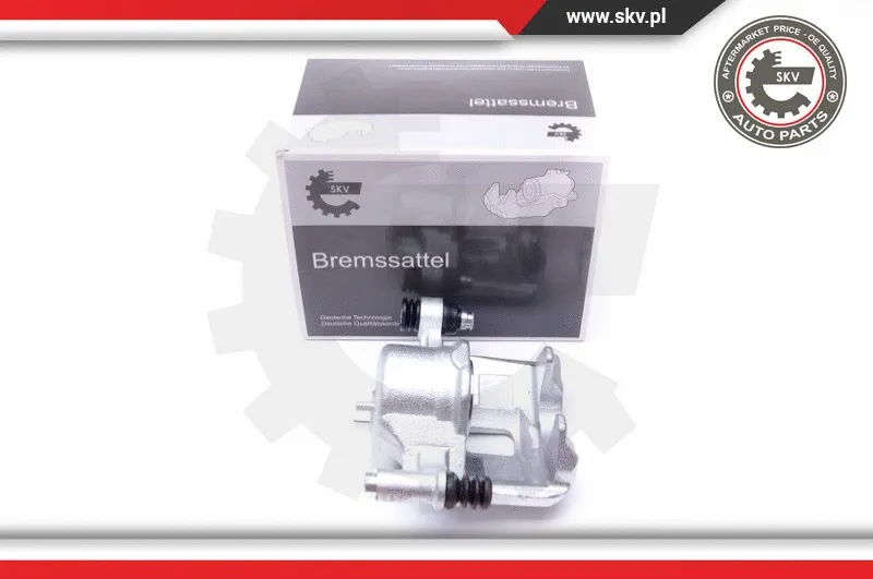 Brake Caliper (42SKV753)