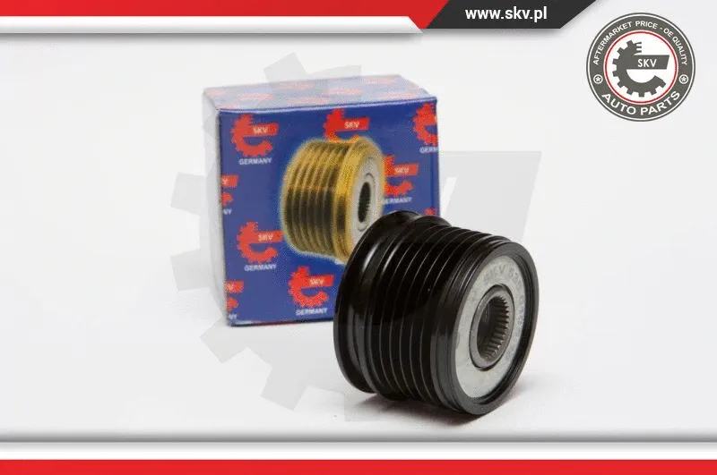 Alternator Freewheel Clutch (11SKV045)