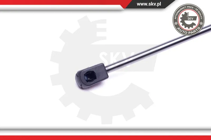 Gas Spring, boot/cargo area