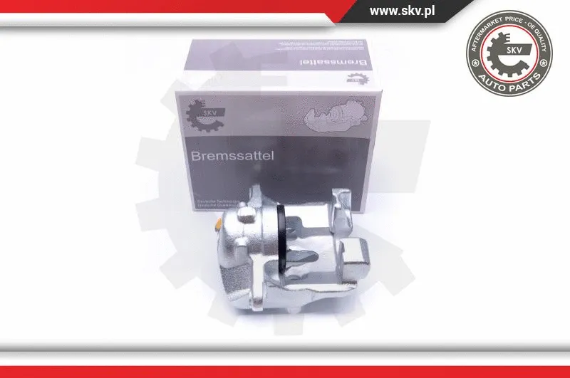 Brake Caliper (34SKV421)