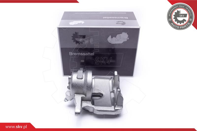 Brake Caliper (44SKV531)