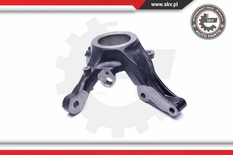 Steering Knuckle, wheel suspension