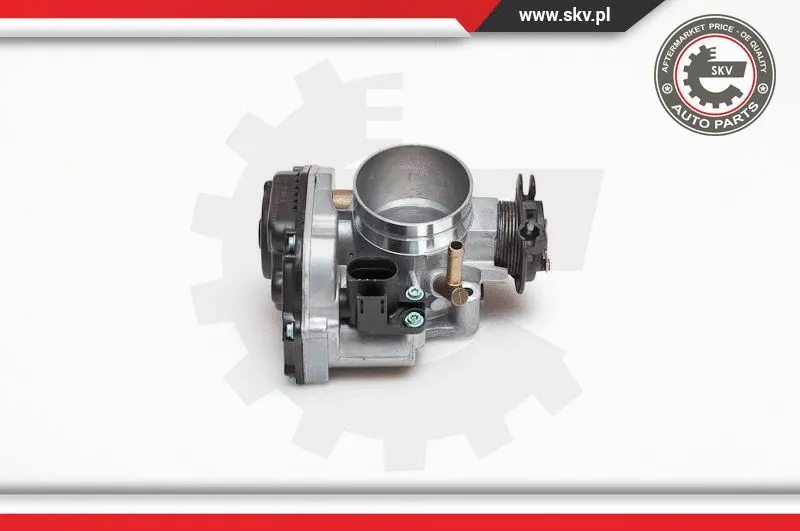 Throttle Body (12SKV003)
