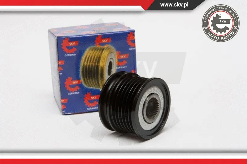 Alternator Freewheel Clutch (11SKV025)