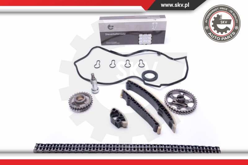 Timing Chain Kit