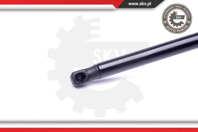 Gas Spring, boot/cargo area