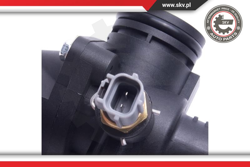 Thermostat, coolant