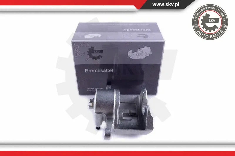 Brake Caliper (55SKV111)