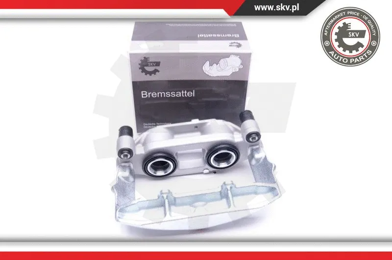 Brake Caliper (44SKV361)