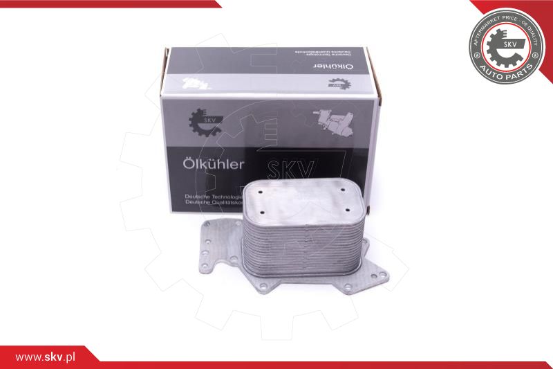 Oil Cooler, engine oil (31SKV213)