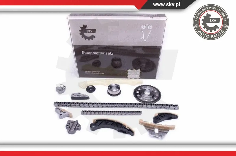 Timing Chain Kit (21SKV176)