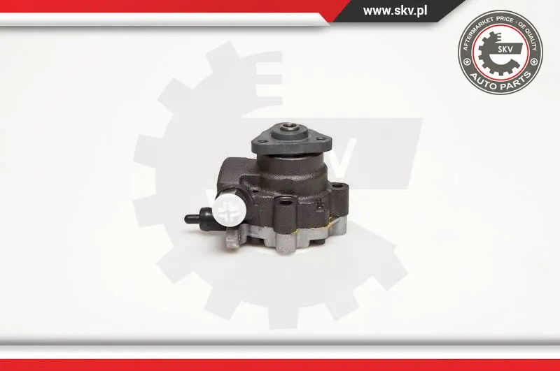 Hydraulic Pump, steering (10SKV095)