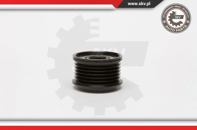 Alternator Freewheel Clutch