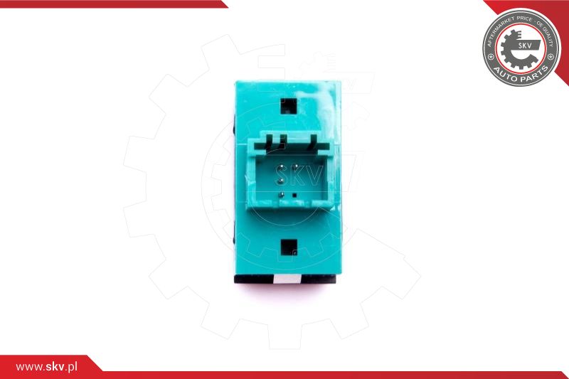 Switch, window regulator