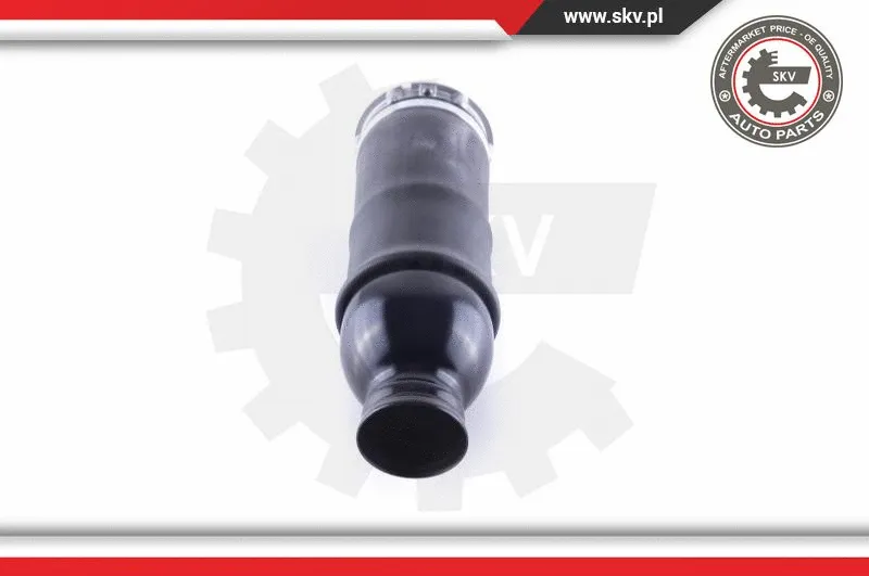 Air Spring, suspension