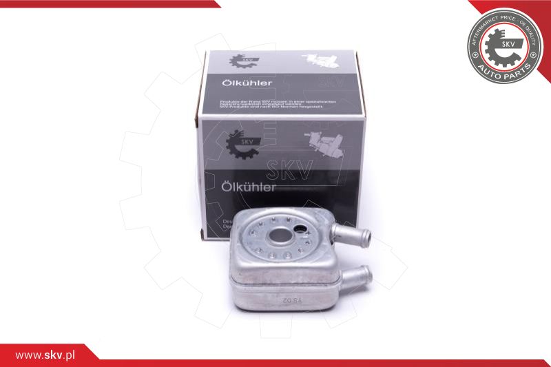 Oil Cooler, engine oil (31SKV204)