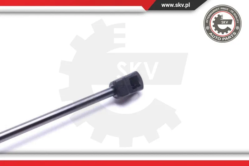 Gas Spring, boot/cargo area