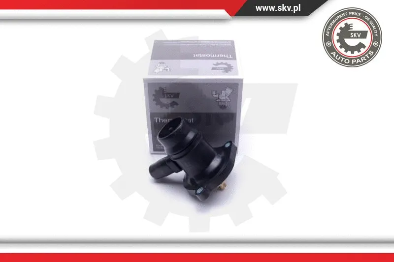 Thermostat, coolant (20SKV133)
