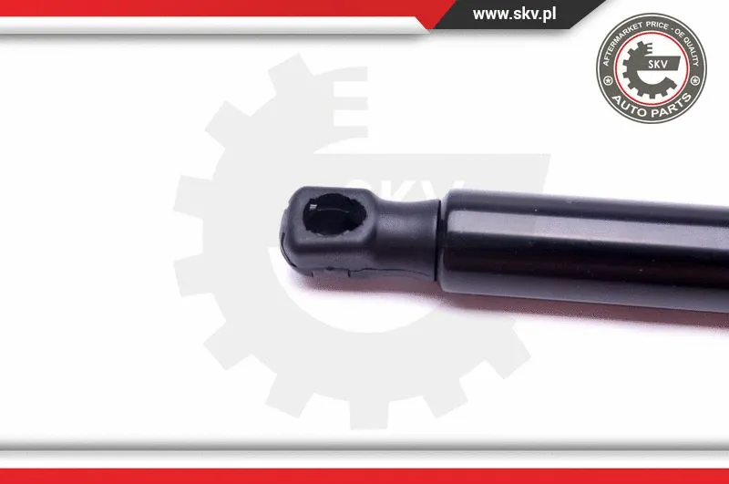 Gas Spring, boot/cargo area