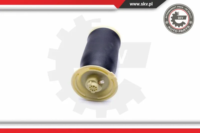 Air Spring, suspension