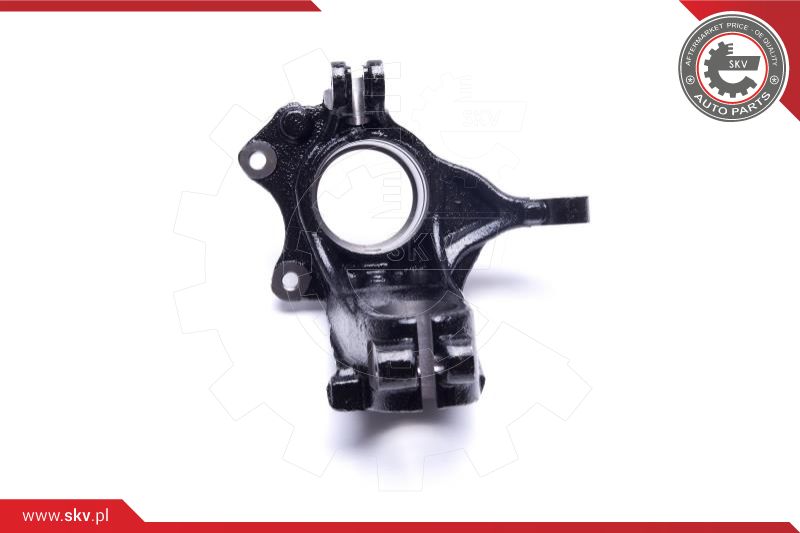 Steering Knuckle, wheel suspension