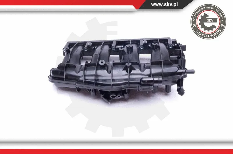 Intake Manifold Module