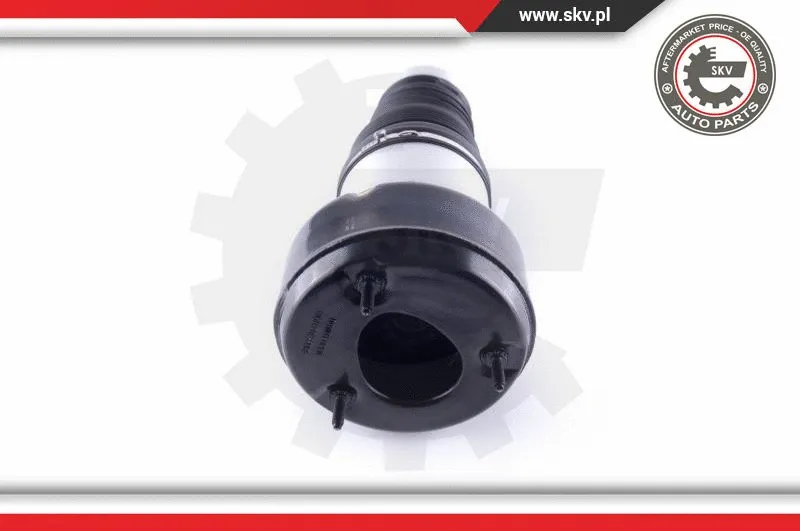 Air Spring, suspension