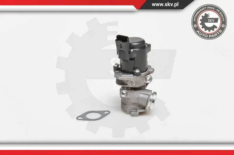 EGR Valve