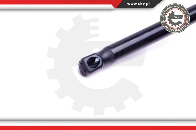 Gas Spring, boot/cargo area