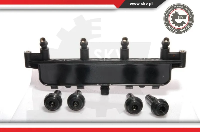 Ignition Coil (03SKV019)