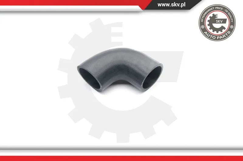 Charge Air Hose (24SKV218)