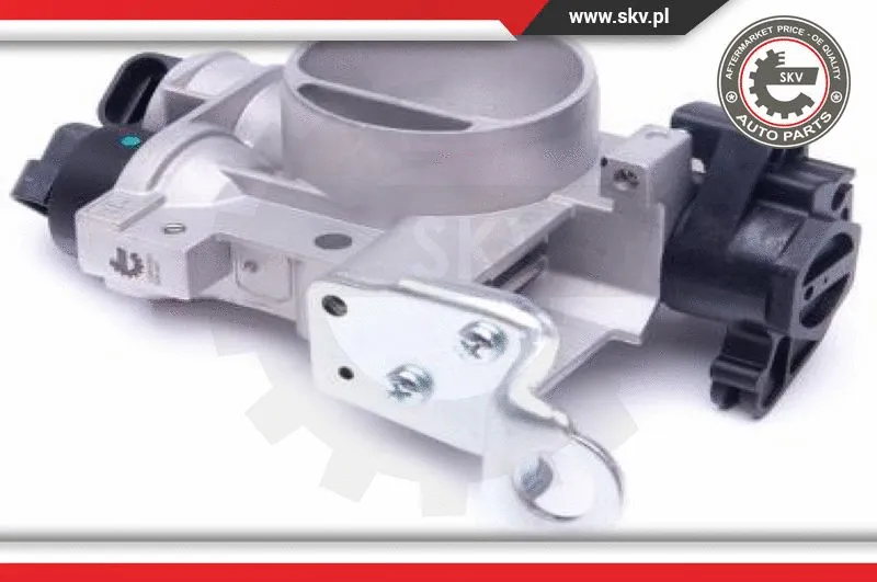 Throttle Body