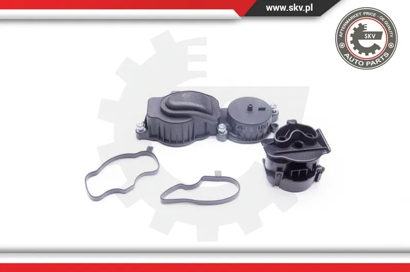 Valve, crankcase ventilation (31SKV037)