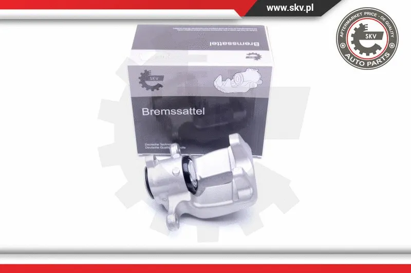 Brake Caliper (44SKV898)