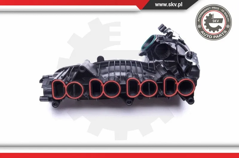 Intake Manifold Module