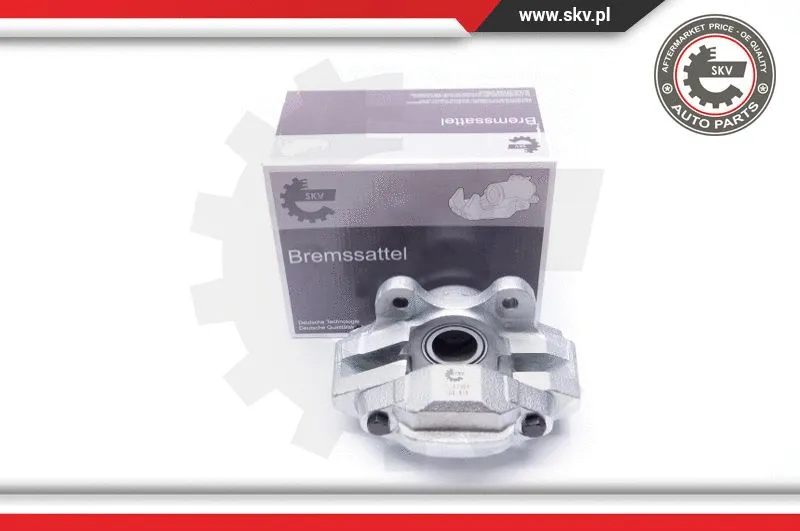 Brake Caliper (34SKV908)