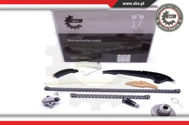 Timing Chain Kit (21SKV161)