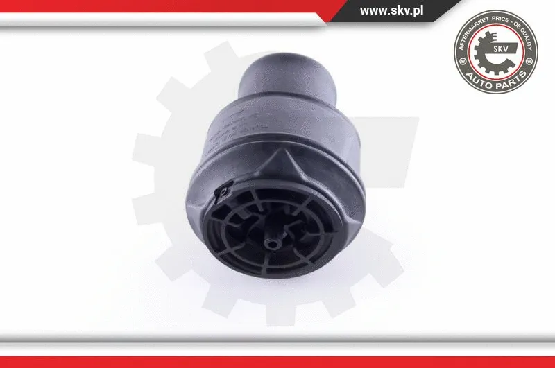 Air Spring, suspension