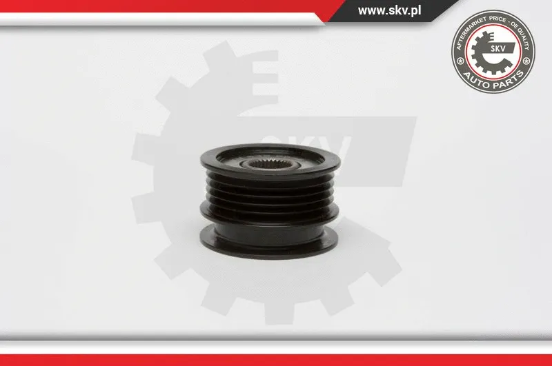 Alternator Freewheel Clutch