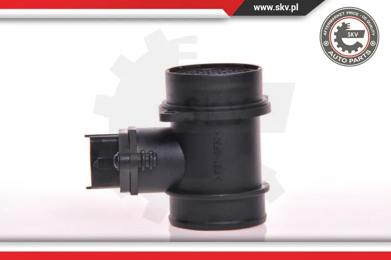 Mass Air Flow Sensor