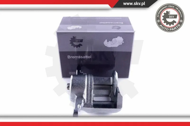 Brake Caliper (55SKV242)