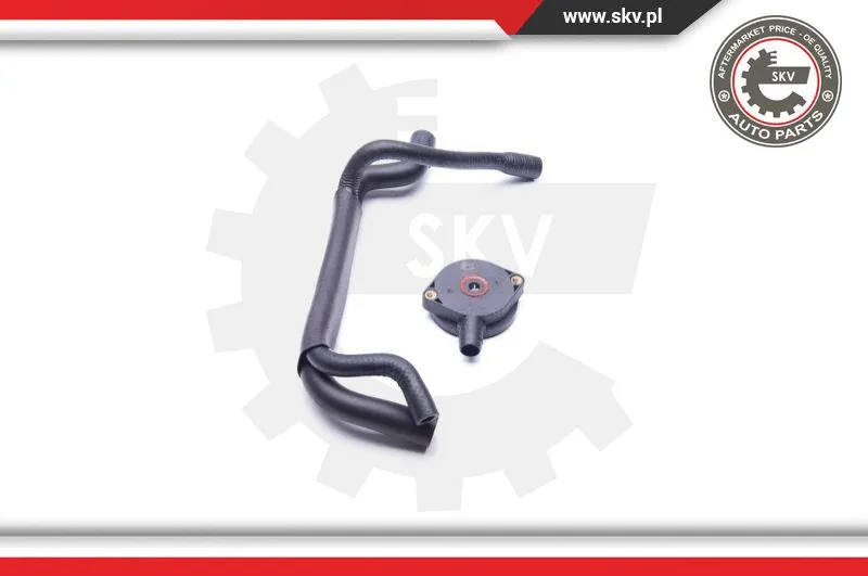 Repair Kit, crankcase ventilation (31SKV101)