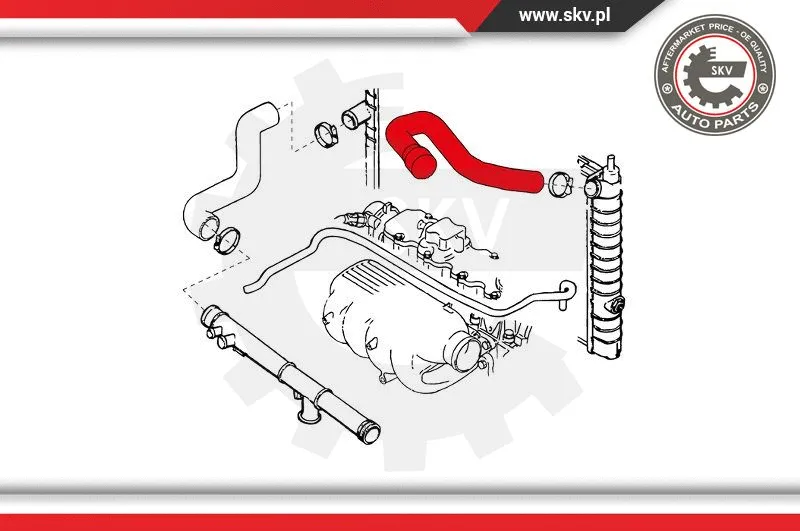 Radiator Hose (24SKV328)