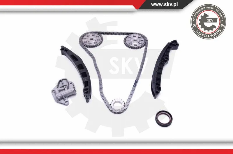 Timing Chain Kit