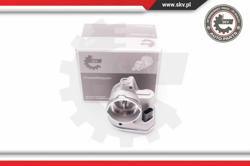 Throttle Body (12SKV055)