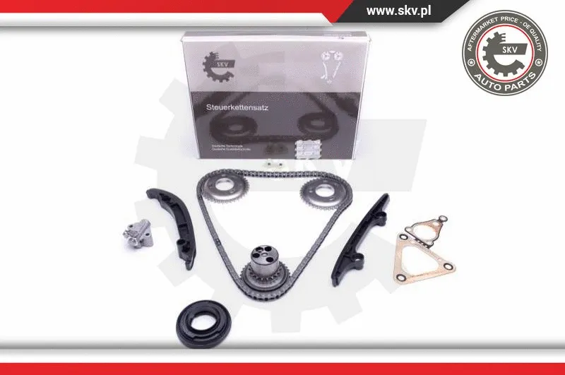 Timing Chain Kit (21SKV119)